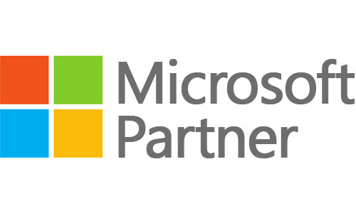 Microsoft Partner Icon